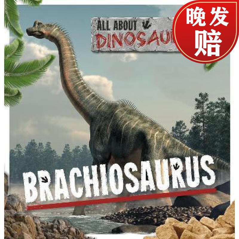【4周达】brachiosaurus