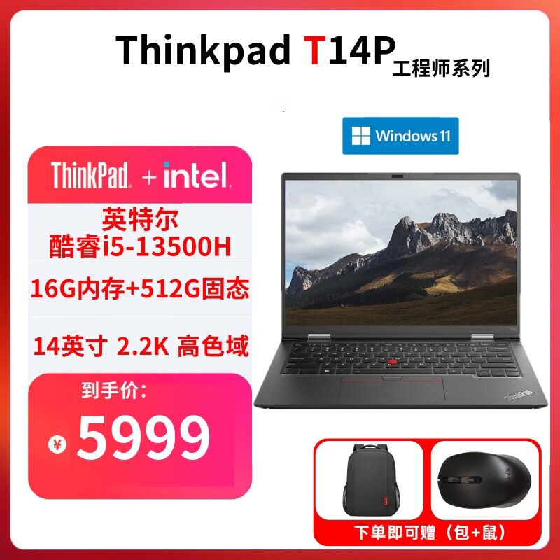 ThinkPad 联想 T14p 2023 13代酷睿标压 14英寸2.2K便携商务办公笔记本电脑 i5-13500H 16GB 512GB W11H