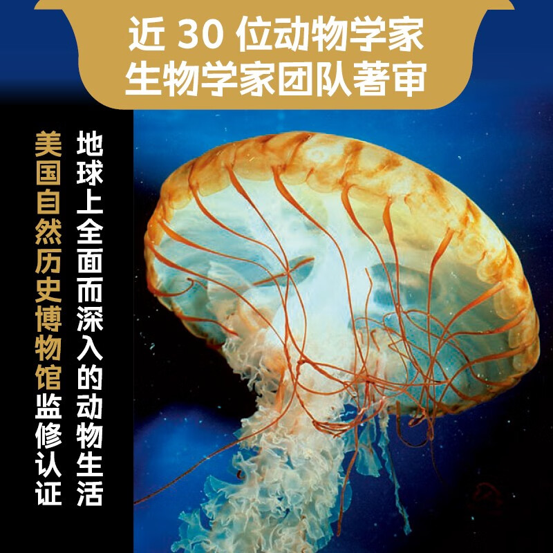 DK动物大百科 小学书单寒假书单暑假书单科普启蒙自主阅读课外读物科普百科 6-14岁小猛犸童书暑假阅读暑假课外书课外暑假自主阅读暑期假期读物详情图