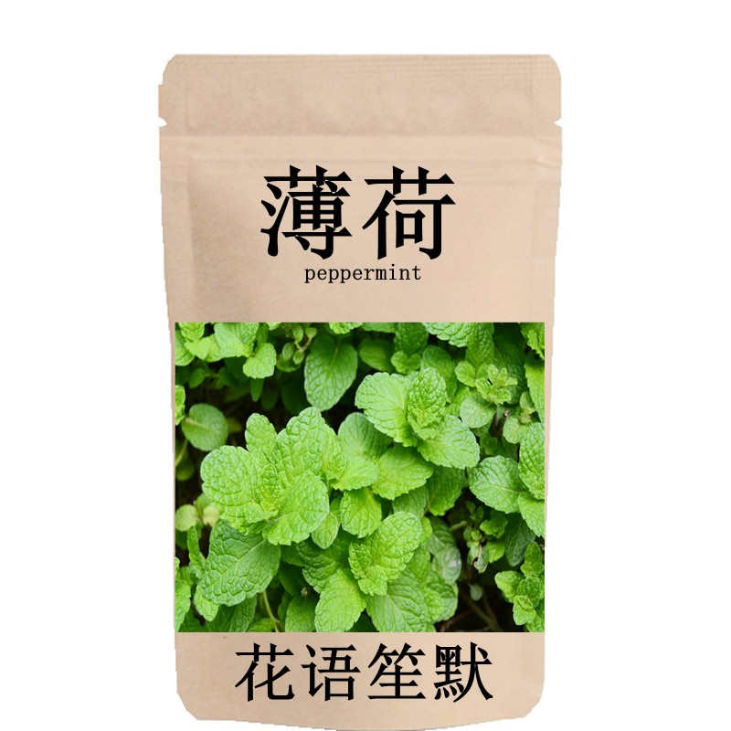 花语笙默夏季花草种子薄荷种子阳台室内盆栽室外活留兰香薄荷种子