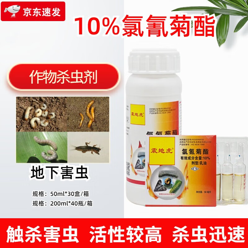 氯氰菊酯10%地下害虫专杀蛴螬蝼蛄地老虎土蚕农药杀虫剂 50ml