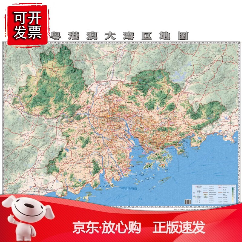 正版 粤港澳大湾区地图（87cm117cm）覆膜