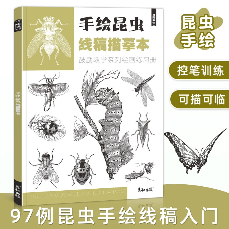 手绘昆虫线稿描摹本儿童控笔训练线描创意绘画画创作瓢虫蜜蜂蝴蝶蜻蜓
