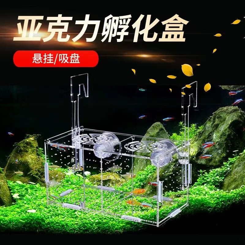 逸樂(lè)寵魚(yú)缸隔離盒亞克力隔離盒板魚(yú)孵化盒水族小魚(yú)苗孵化繁殖箱多格 雙格吸盤(pán)20*10*10 （加掛鉤）