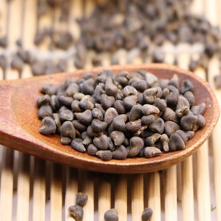 同仁堂冬葵子中药材500g冬葵籽 葵子 葵菜子可粉中草药店铺大全