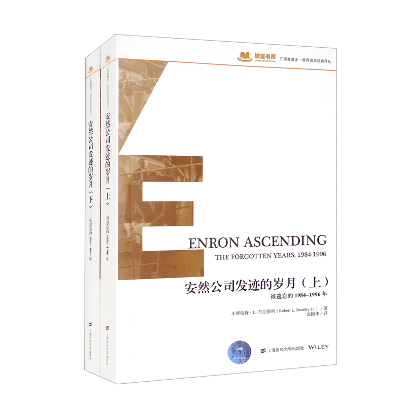 安然公司发迹的岁月(被遗忘的1984-1996年 套装上下册)