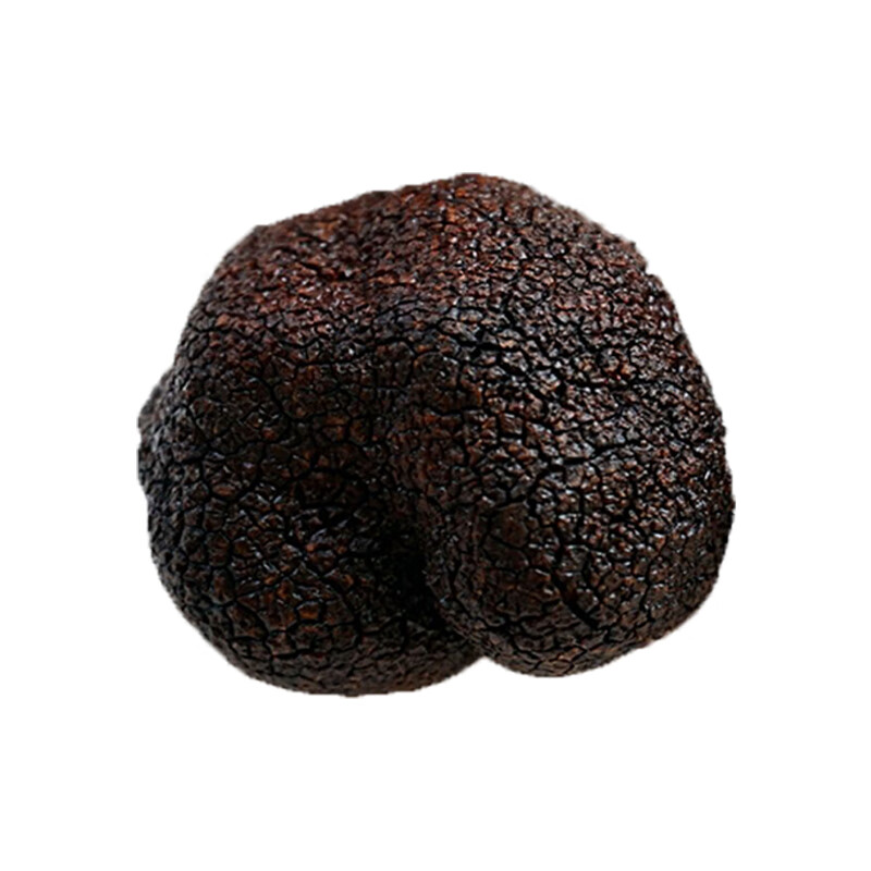 高原云品【全黑全成熟】黑松露新鲜 家宴美食  航空速达 全黑全成熟 2-3cm 500克（送礼品袋）