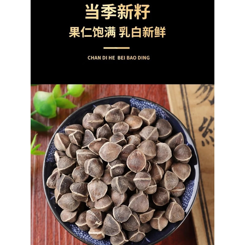 辣木籽大果辣木子茶飲 辣木籽大果100g【1罐】