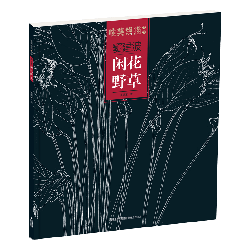 窦建波.闲花野草-唯美线描精选