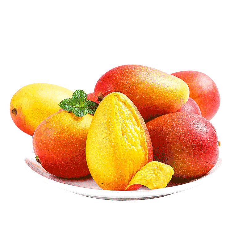 ���شﺣ�Ϲ���ââ������4.5�ﵥ��200g+����Ӧ��ˮ��Դͷֱ������