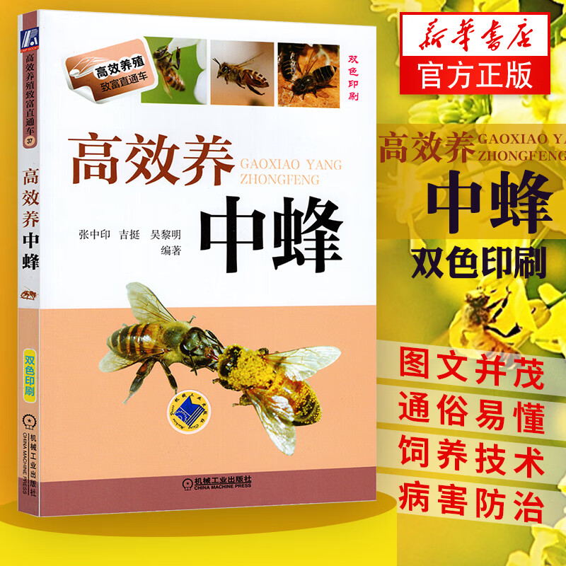 高效养中蜂 蜜蜂养殖技术书 养蜂书 养蜂书籍实用手册 中华蜂土蜂中蜂