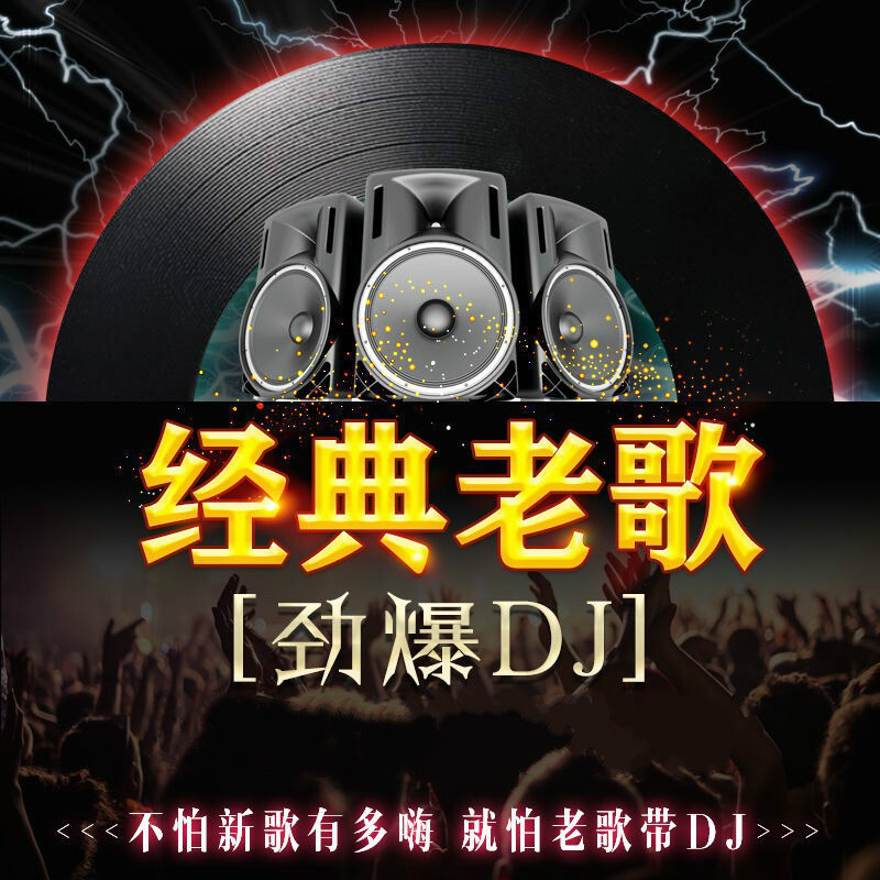 经典老歌dj车载音乐u盘怀旧老歌慢摇串烧dj舞曲重低音嗨曲无损mp3 16g