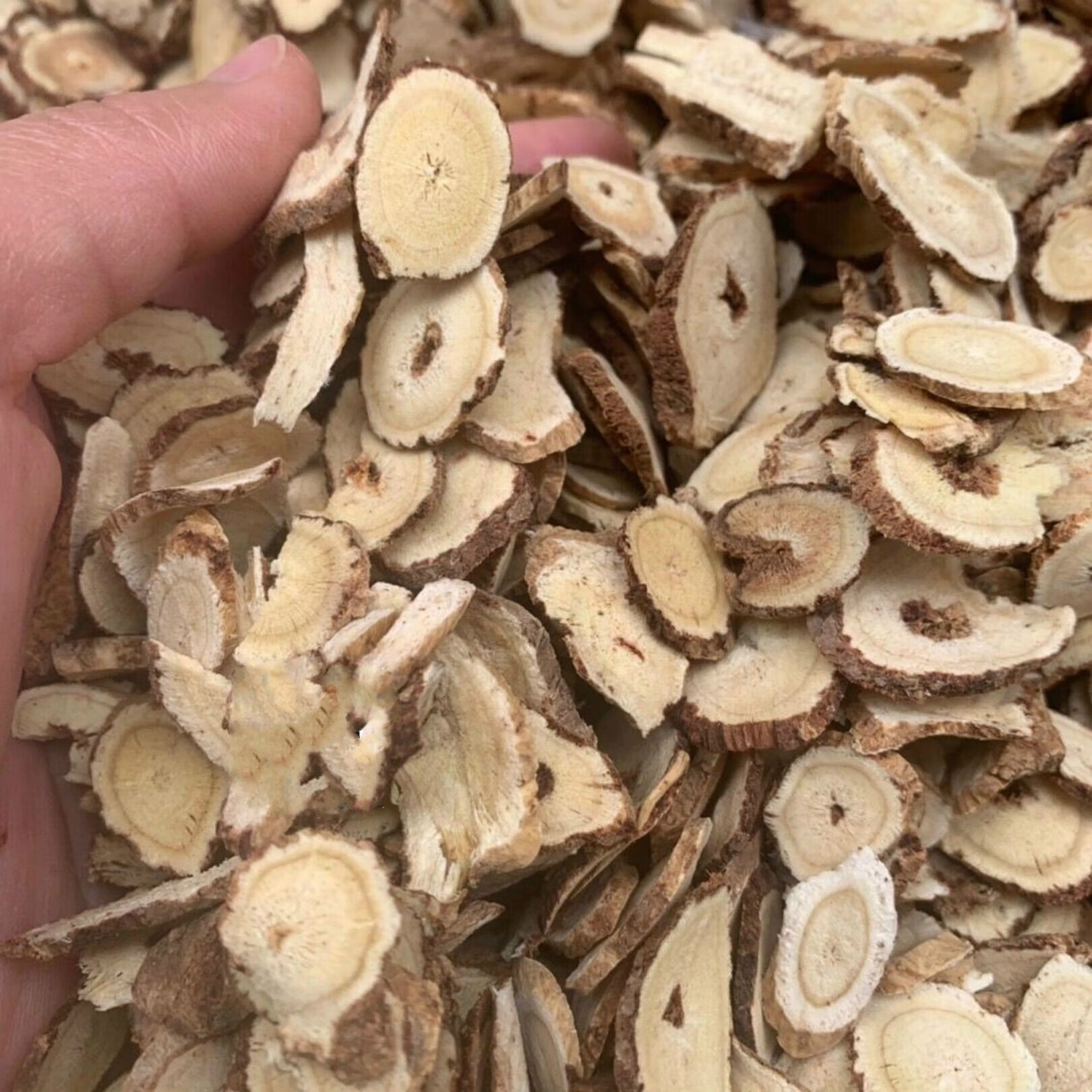 红芪 甘肃红芪片红芪片无硫泡茶泡酒材料 红芪片250克