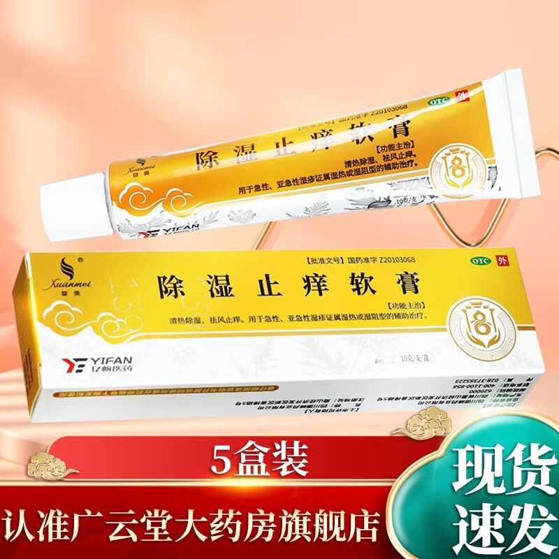 璇美天聯 除濕止癢軟膏10g 清熱除濕祛風止癢急性濕疹皮膚乳膏GT 5盒裝