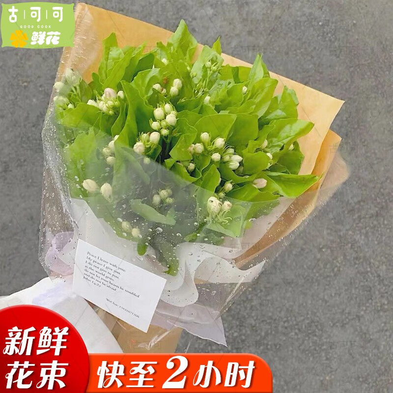 古可可女神节茉莉花同城配送送货上门送男友老公情侣女友老婆鲜花速递