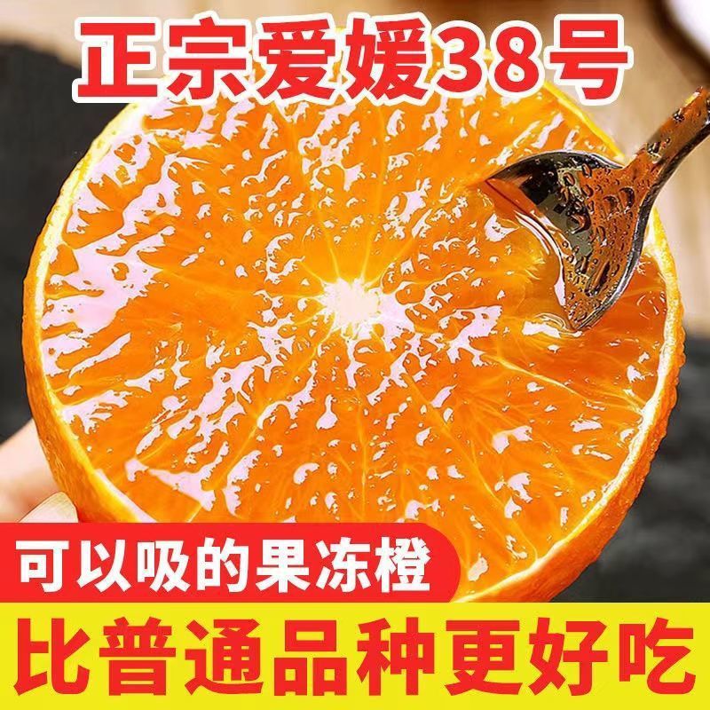 勇者无惧 四川爱媛38号果冻橙 5斤
