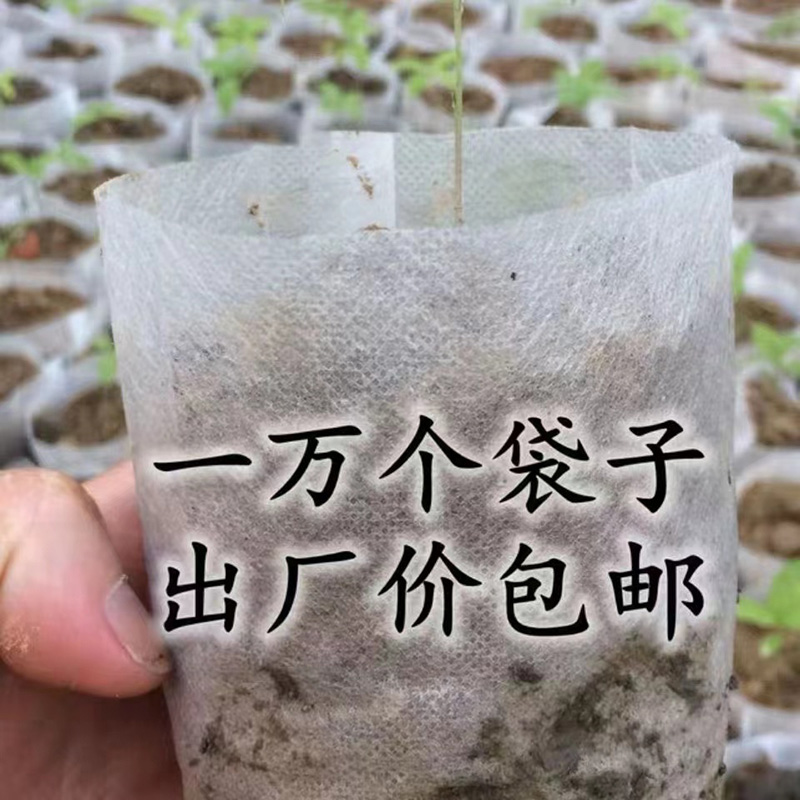 营养钵育苗袋子 无纺布可降解环保加厚育苗袋植树袋移植移栽营养袋 未
