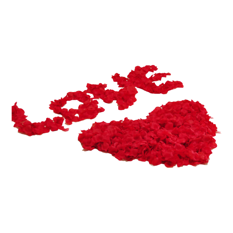 ���� ���˽ڱ�������װ�ε���������ϲ�����������ղ��ó�����װ