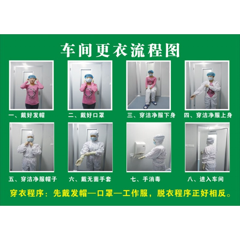 车间更衣流程图顺序挂图|六七八步洗手方法|医院宣传海报墙贴画 更衣
