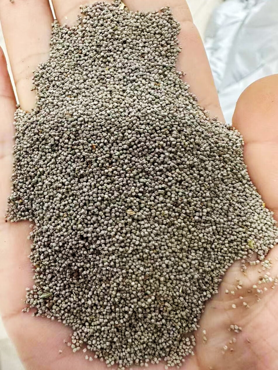 芗苒矮雪轮种子小町草四季花籽大蔓樱草种籽籽 矮雪轮种子一斤