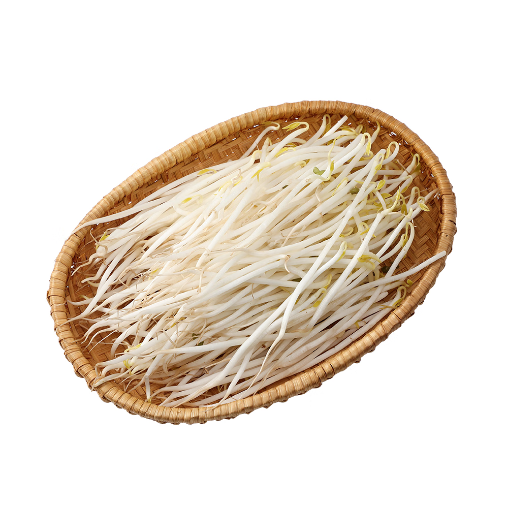 蜜钰鲜顺丰发货新鲜绿豆芽菜农家自种新鲜蔬菜炒菜500g 500g