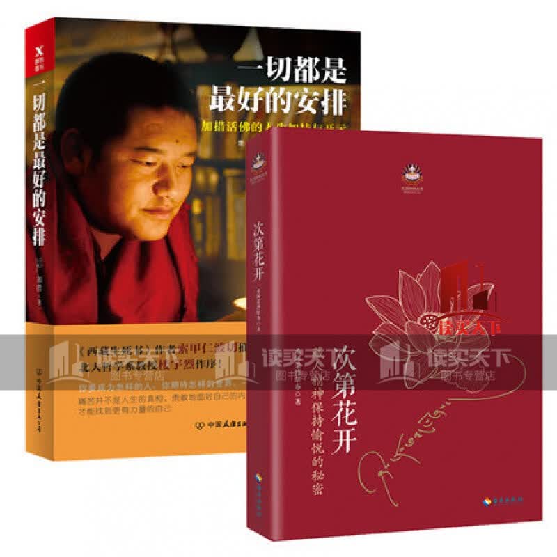 正版 一切都是好的安排+次第花开 希阿荣博堪布 加措活佛著 扎西持林丛书 寻找心里自由的自己H 书籍