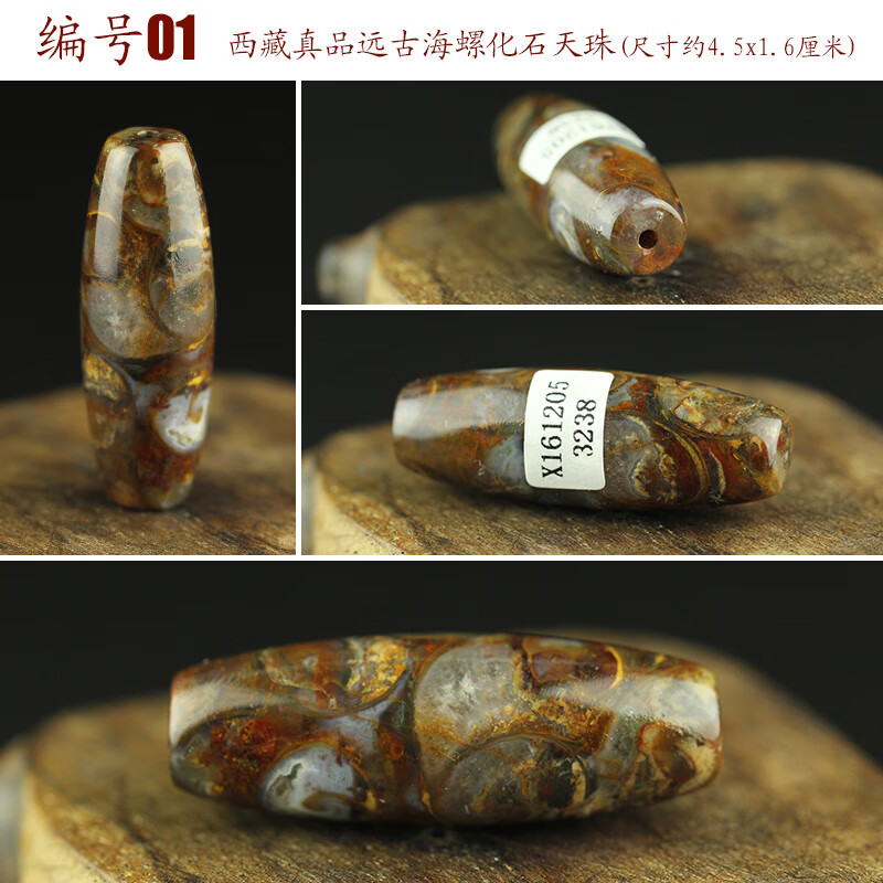古珍 天珠西藏九页岩原石 法螺天珠古海螺化 石天眼吊坠男女项链送