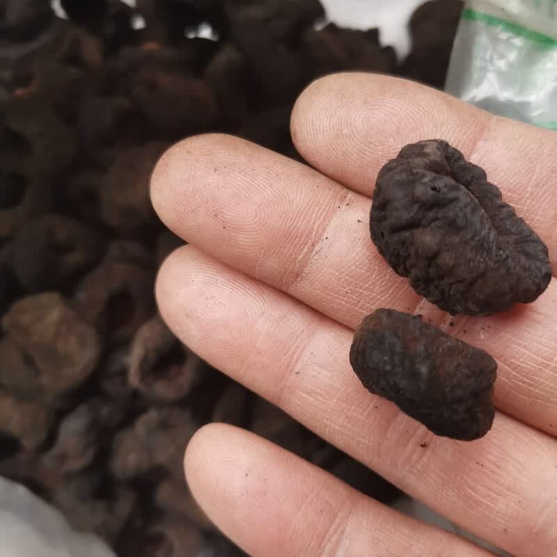 佑康泰中药材乌梅肉炭250克去核炒炭100克白梅肉可磨粉纯肉无核标准