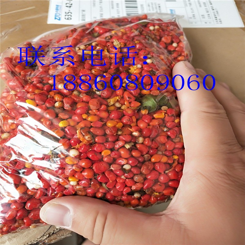 重楼苗 重楼籽七叶一枝花苗 云南滇重楼种苗基地  粉质滇重楼种子 独