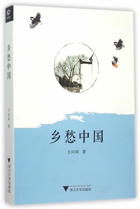 乡愁中国 王向阳【正版书】