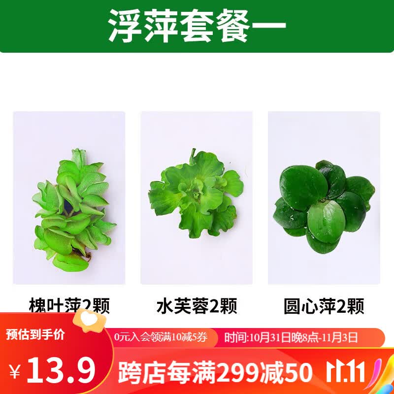 疯狂水草（FKSC）浮萍水草鱼缸古法养鱼植物养龟净化水质水培水上烟花 浮萍水草套餐一使用感如何?