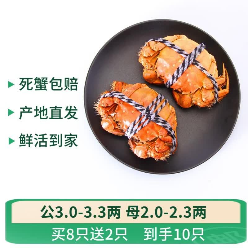 【活蟹】水淼鲜 大闸蟹鲜活现货 5对10只装 螃蟹生鲜活鲜湖鲜水产 公3.0-3.3两 母2.0-2.3两 5对怎么样,好用不?