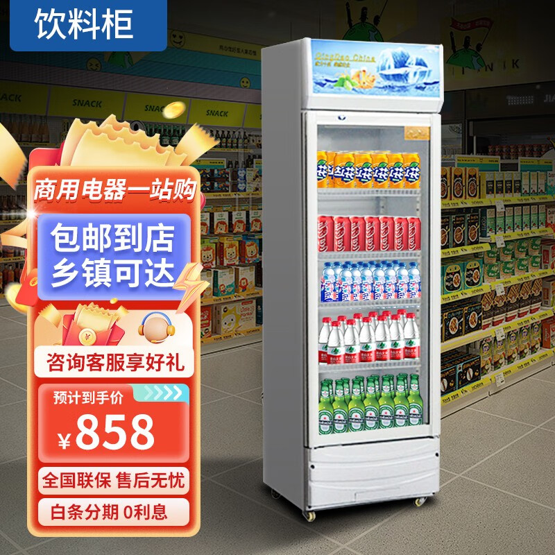 雪诗希冷藏柜展示柜保鲜柜立式直冷纯风冷单门双门三门商用饮料冷饮