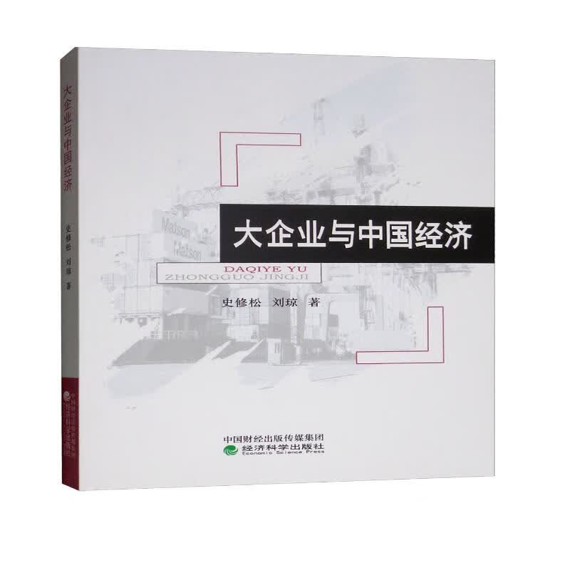 大企业与中国经济