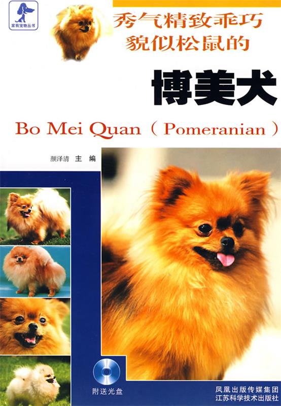 秀气精致乖巧貌似松鼠的博美犬 颜泽清主编