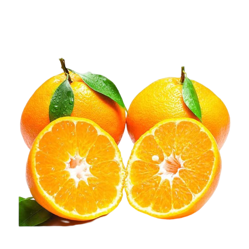 桔橘历史低价查询|桔橘价格比较