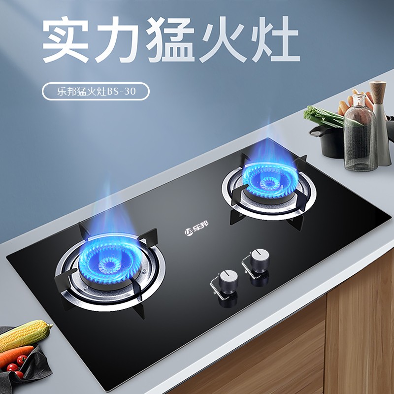 乐邦燃气灶和博世燃气灶哪个好品牌对比