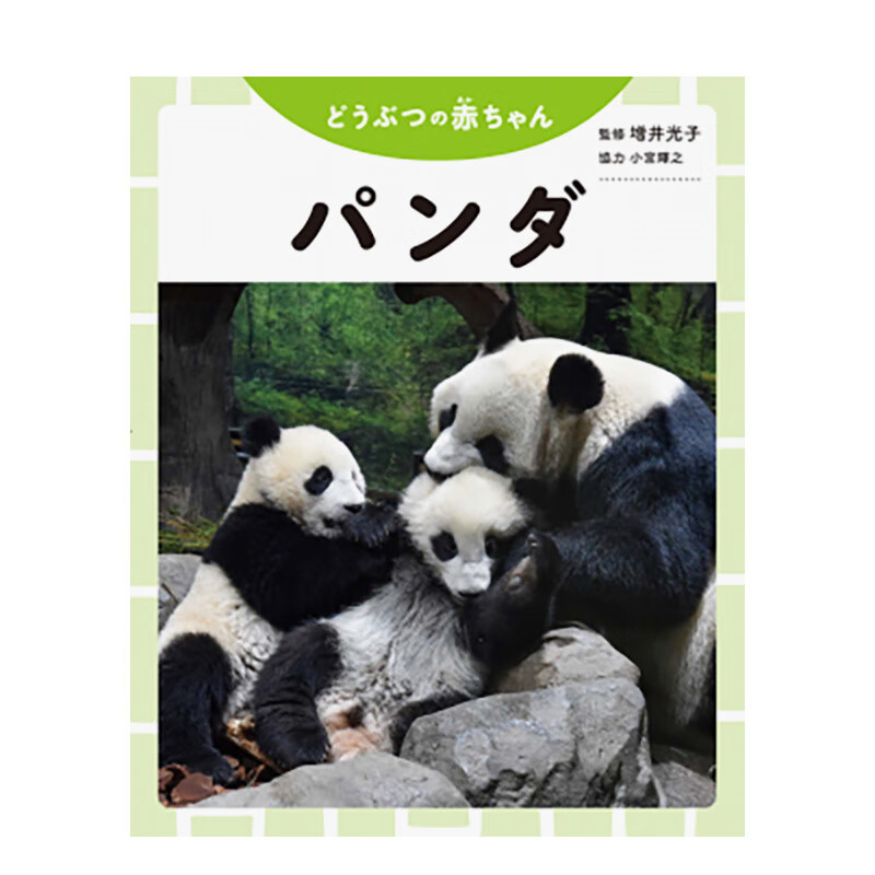 【预售】小熊猫宝宝写真集 パンダ  どうぶつの赤ちゃん 可爱治愈 动物摄影集 艺术 日文原版 善本图书