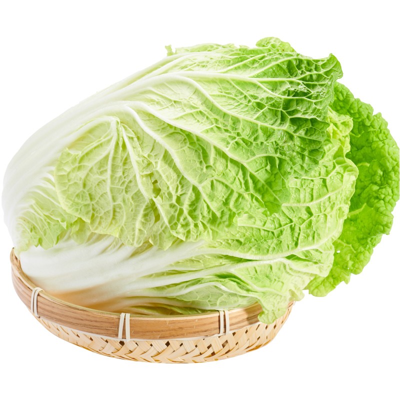 东北大白菜 农家菜鲜嫩小白菜现摘青菜蘸酱生吃包馅大白菜 新鲜蔬菜 5