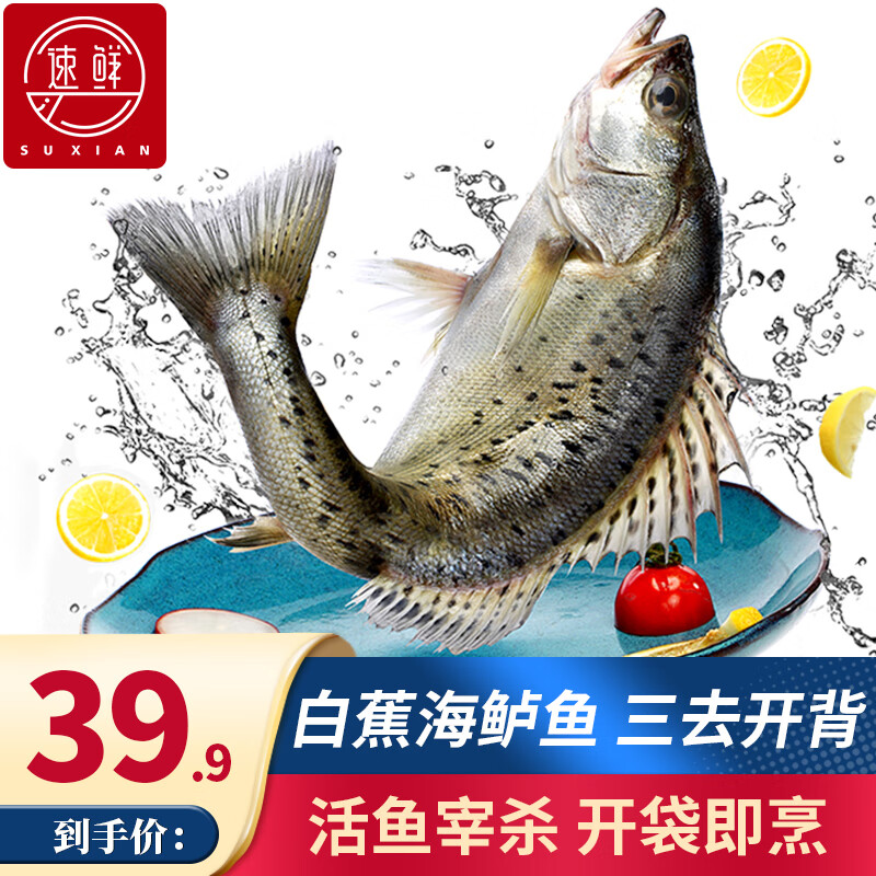速鲜（SuXian）三去白蕉海鲈鱼冷冻鱼类海鲜去鳃去鳞去内脏 开背海鲈鱼200-250g/条