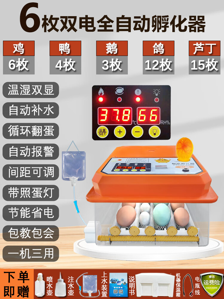小型小鸡/鸭/鹅/鹌鹑/鸽子家用孵蛋器/孵化机/孵化箱 6枚全自动双电温