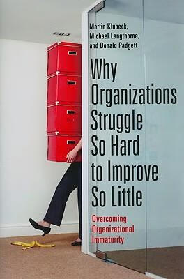 hard to improve so little: overcoming organizational immaturity