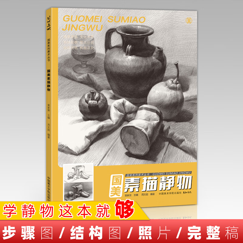国美素描静物临摹照片书教材入门画册基础周文超美术生对画考级范本8开结构单体组合陶罐水果衬布写生铅笔绘