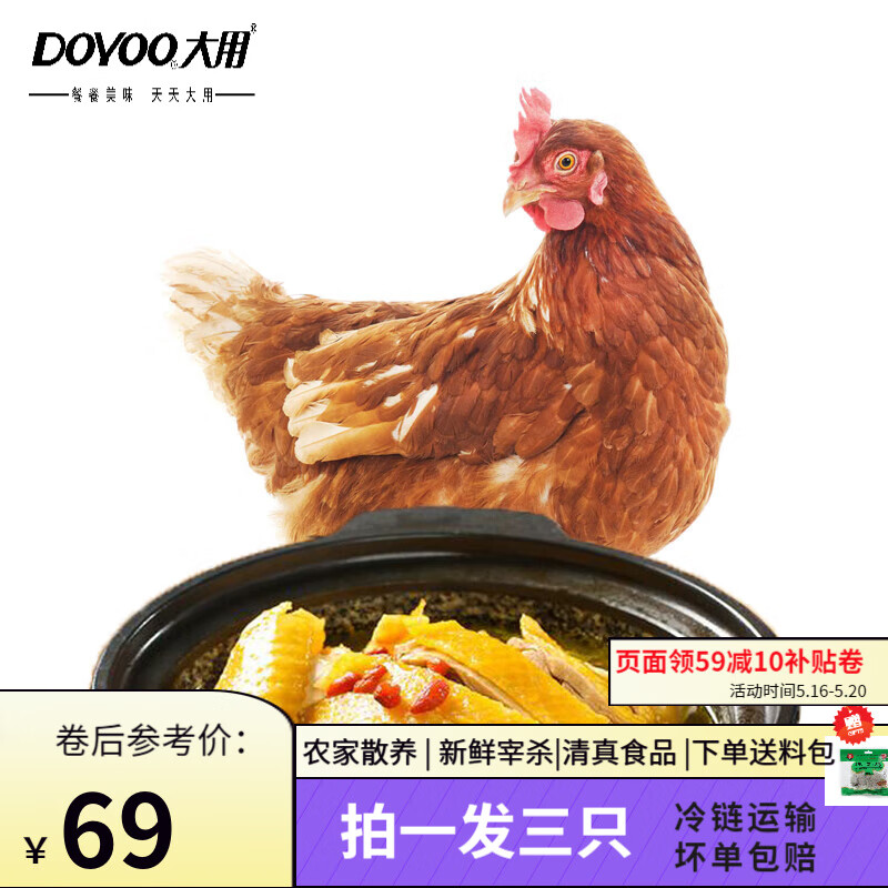 大用（DOYOO）新鲜三黄鸡 整只约850g/只炖汤滋补食材笨鸡走地鸡冷冻农家散养