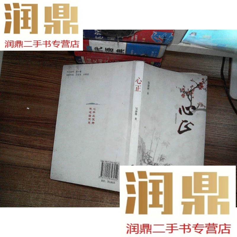 【二手九成新】心正.