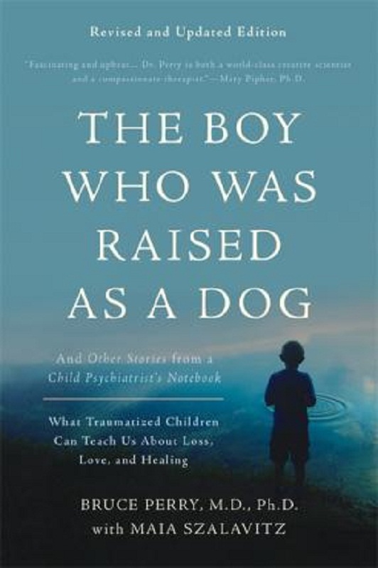 当狗养的男孩 儿童心理学家诊疗笔记 英文原版 儿童心理 Boy Was Raised