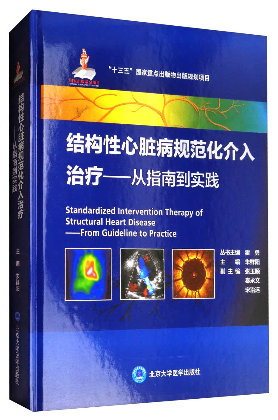 结构性心脏病规范化介入治疗：从指南到实践（国家出版基金项目八）