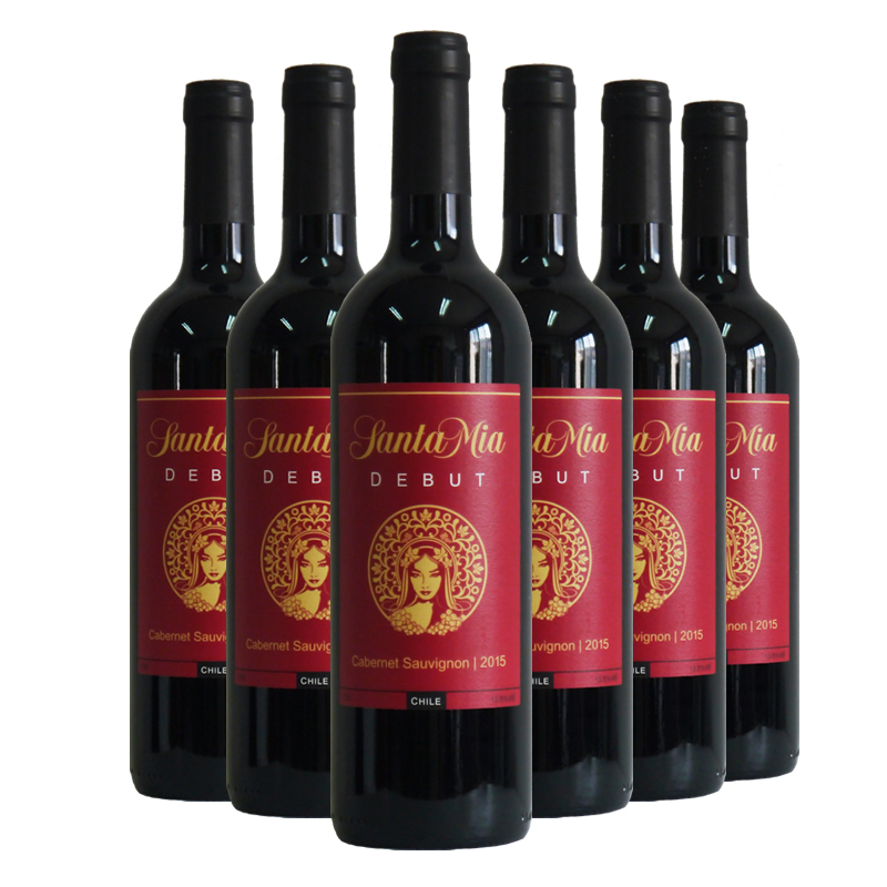 圣米亚智利原瓶进口中央山谷安第斯山脉圣米亚红葡萄酒 红酒干红 首秀赤霞珠干红750ml*6瓶
