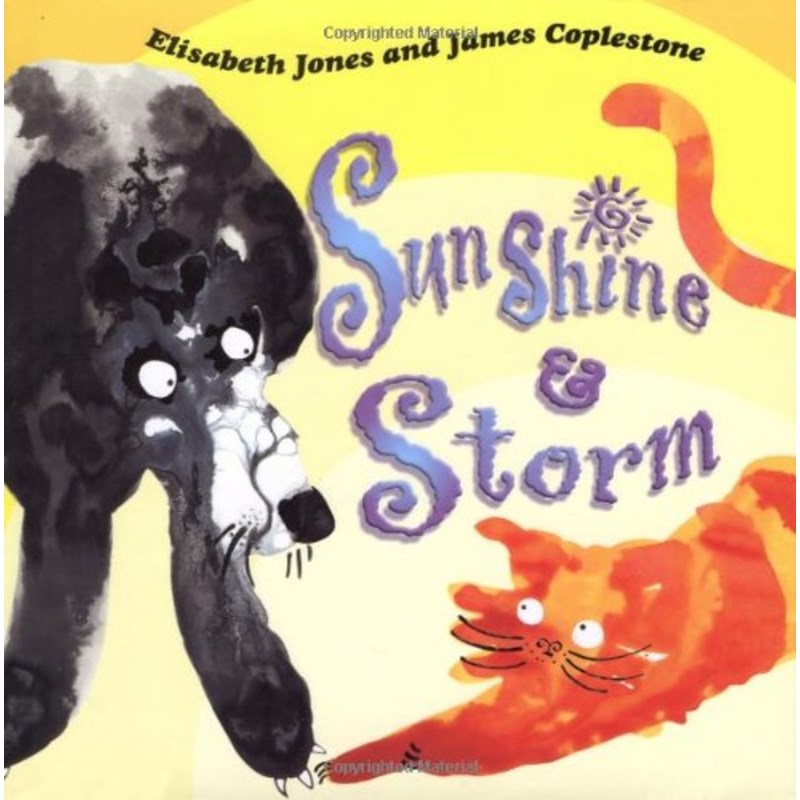 Sunshine & Storm