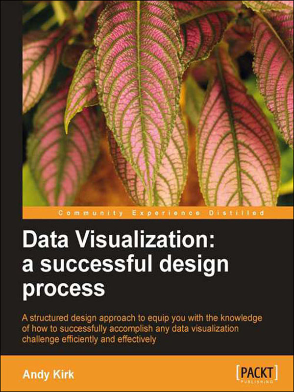 data visualization: a successful design process